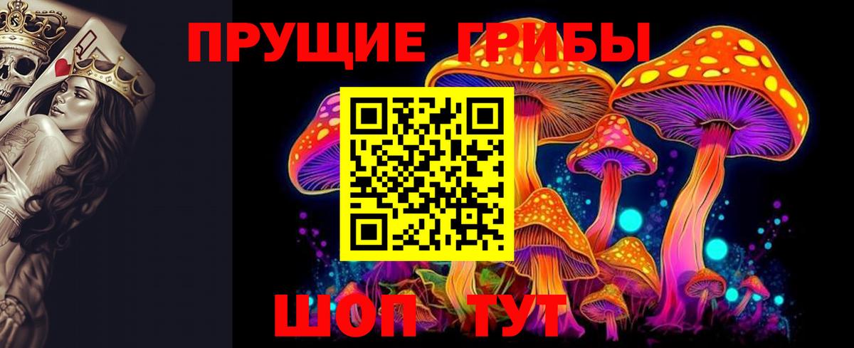 Можайск  наркота  Вход с VPN  Галлюциногенные грибы мицелий  Галлюциногенные грибы прущие грибы 